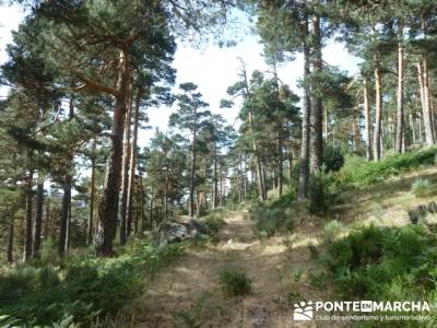 Senda Herreros - Puerto de Navacerrada - Valle de Fuenfría - Ducha de los Alemanes -Embalse Berceas